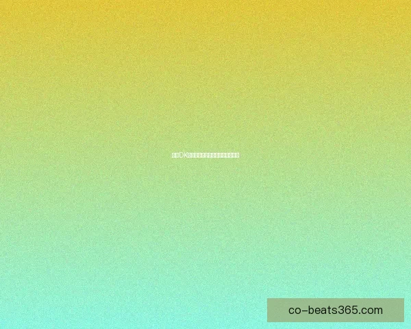 基于DK宏技术的应用研究与优化策略分析